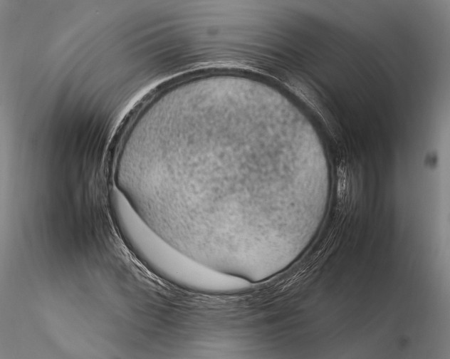 X0000115581068200912011433