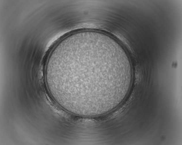 X0000115581070200912011433