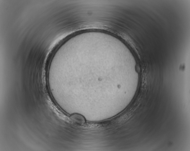 X0000115581072200912011433