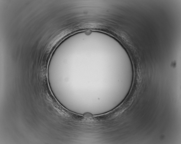 X0000115581073200912011433