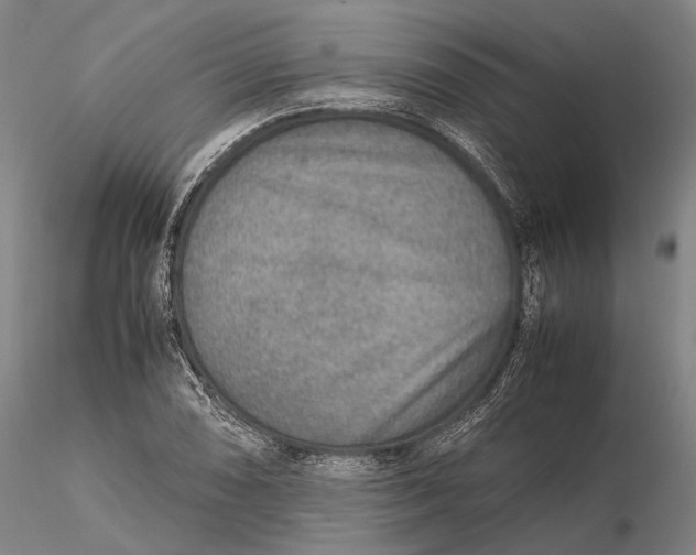 X0000115581074200912011433