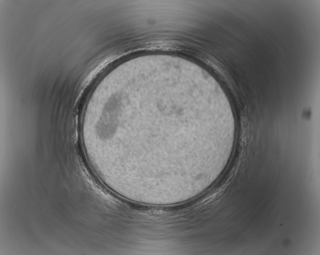 X0000115581075200912011433