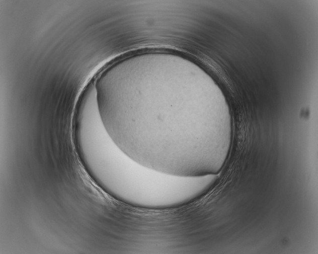 X0000115581076200912011433