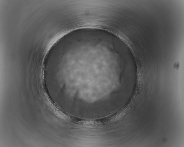 X0000115581077200912011433