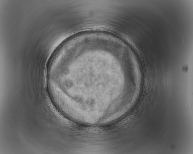 X0000115581079200912011433