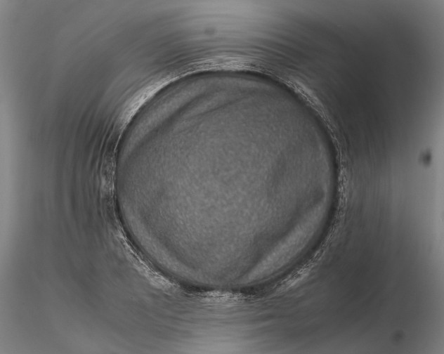 X0000115581081200912011433