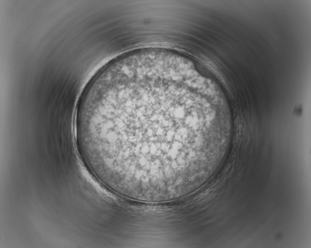 X0000115581084200912011433