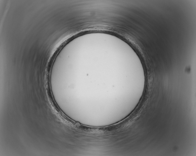 X0000115581085200912011433