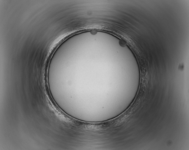 X0000115581086200912011433