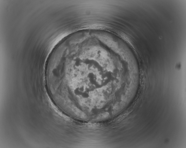 X0000115581087200912011433