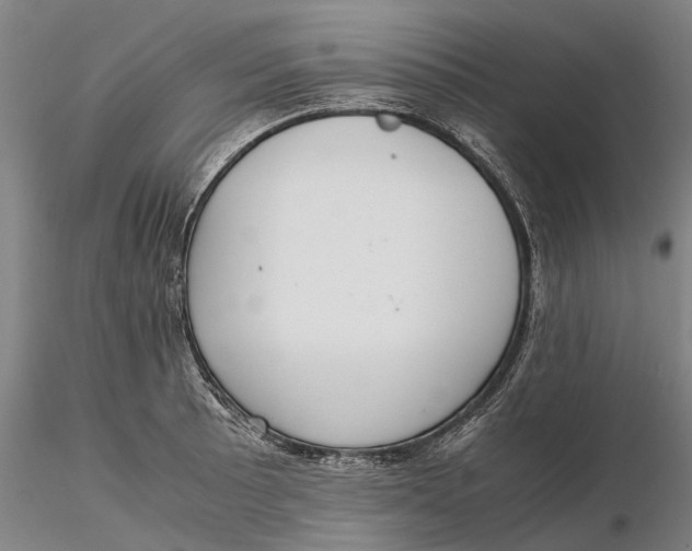 X0000115581089200912011433