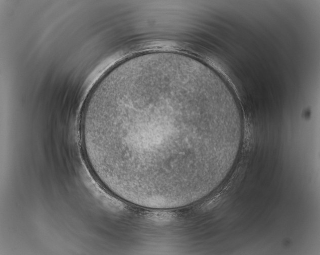 X0000115581090200912011433