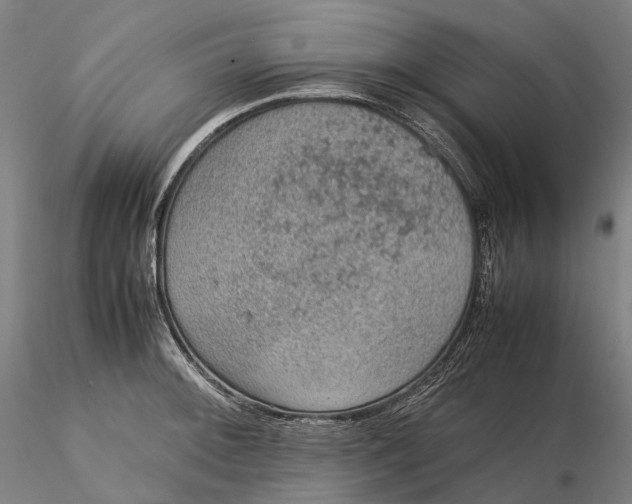 X0000115581092200912011433