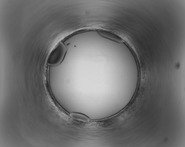 X0000115581093200912011433