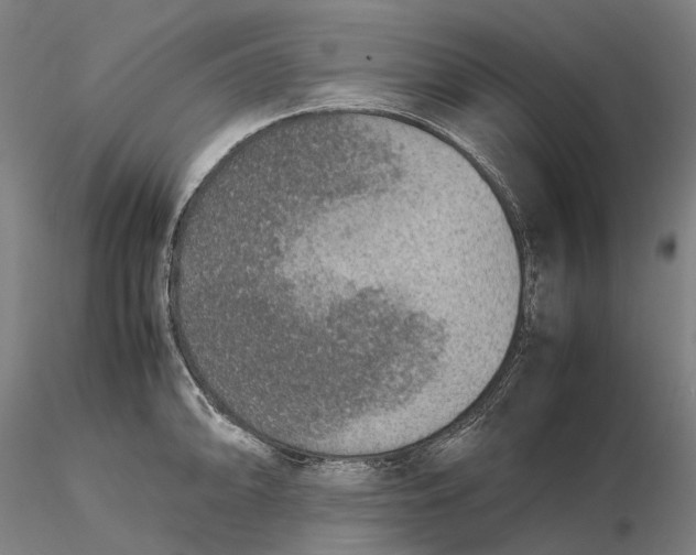 X0000115581094200912011433