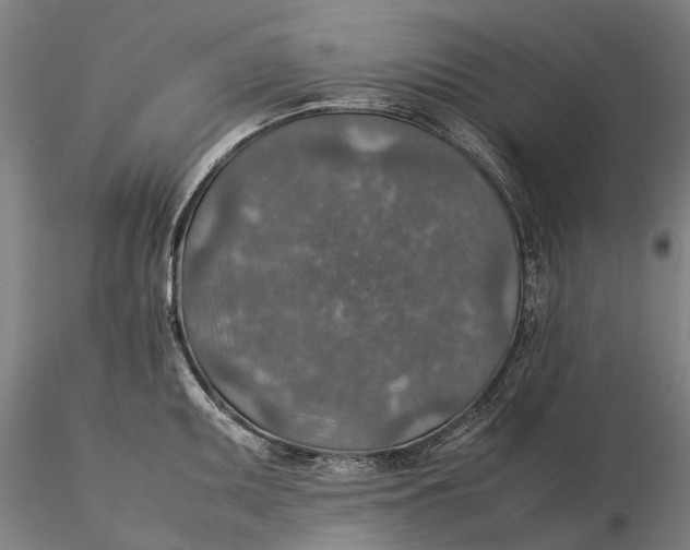 X0000115581095200912011433