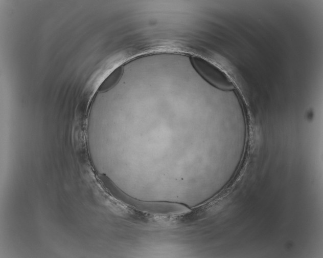 X0000115581097200912011433