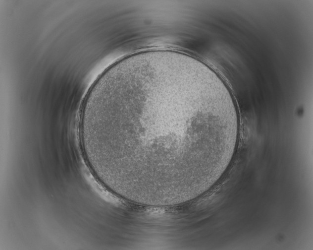 X0000115581098200912011433