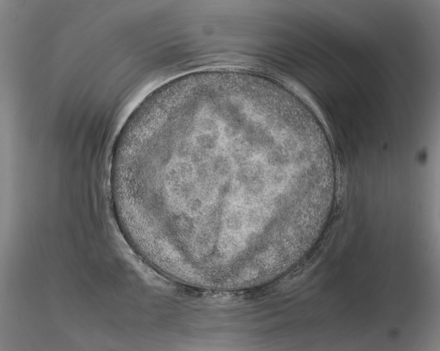 X0000115581099200912011433