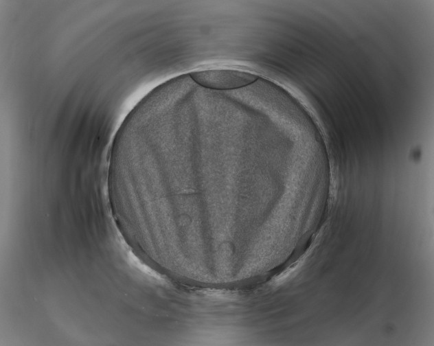 X0000115581102200912011433