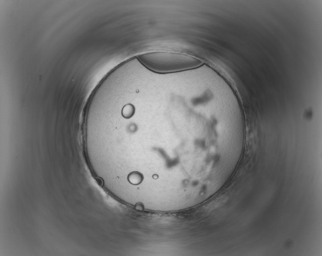 X0000115581103200912011433