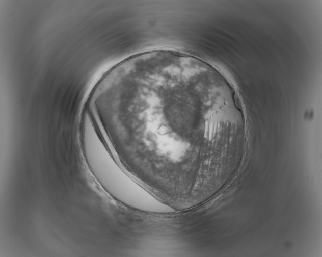 X0000115581104200912011433