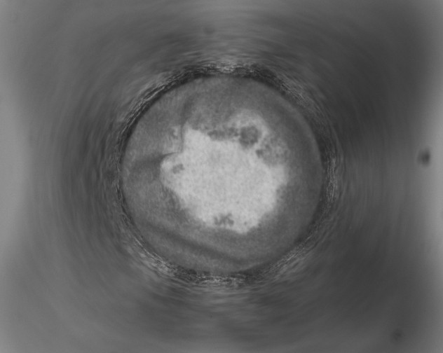 X0000115581105200912011432