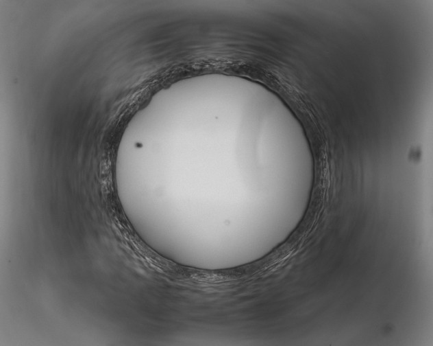 X0000115581109200912011432