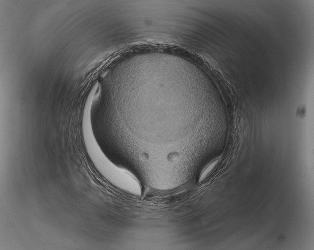 X0000115581110200912011432