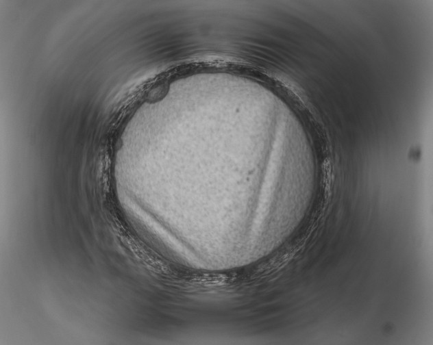 X0000115581111200912011432