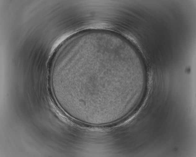 X0000115581114200912011432