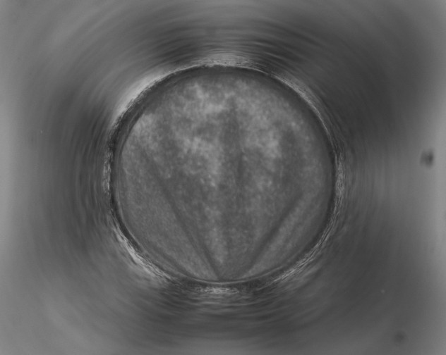 X0000115581115200912011432