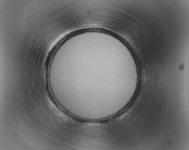 X0000115581118200912011432