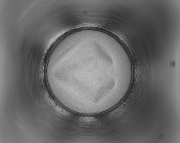 X0000115581119200912011432