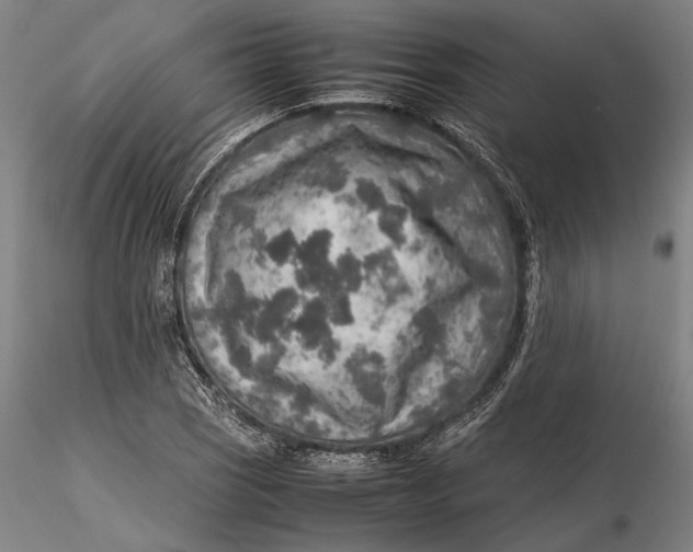 X0000115581121200912011432