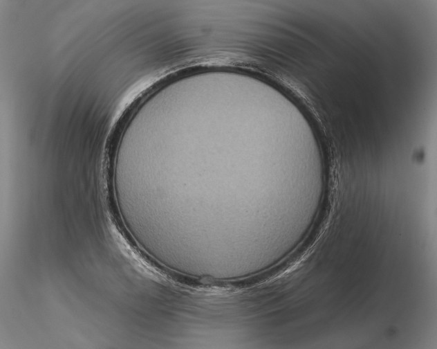 X0000115581122200912011432