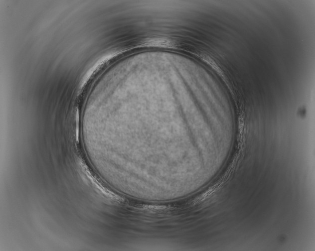 X0000115581123200912011432