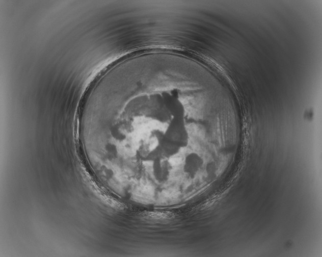 X0000115581125200912011432