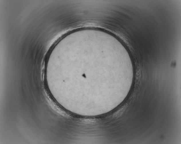 X0000115581126200912011432