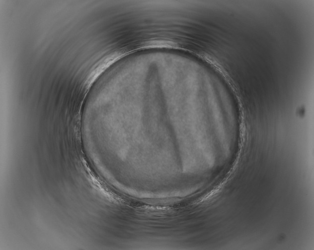 X0000115581129200912011432