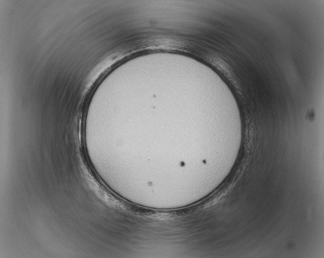 X0000115581130200912011433