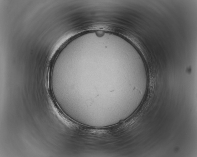 X0000115581131200912011433