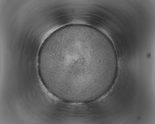 X0000115581133200912011433