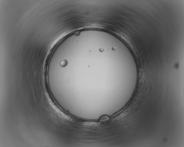 X0000115581135200912011433