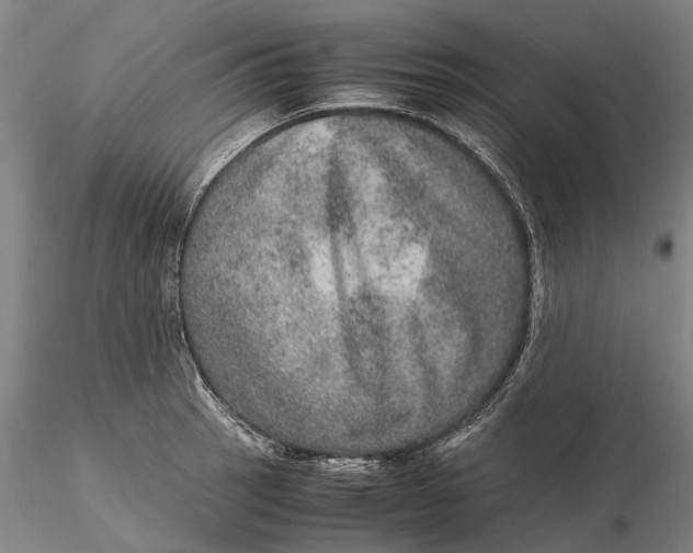 X0000115581137200912011433