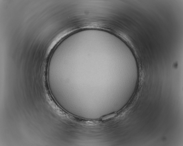 X0000115581138200912011433