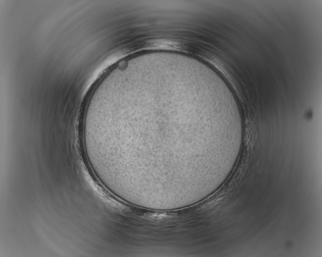 X0000115581139200912011433