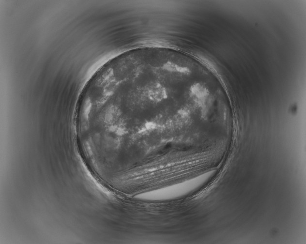 X0000115581141200912011433