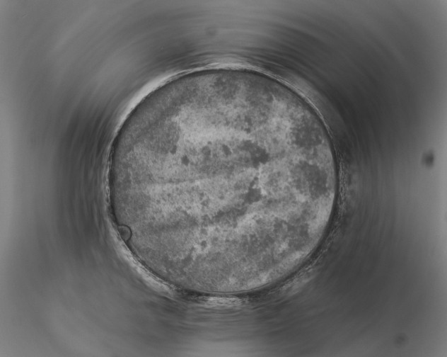 X0000115581142200912011433