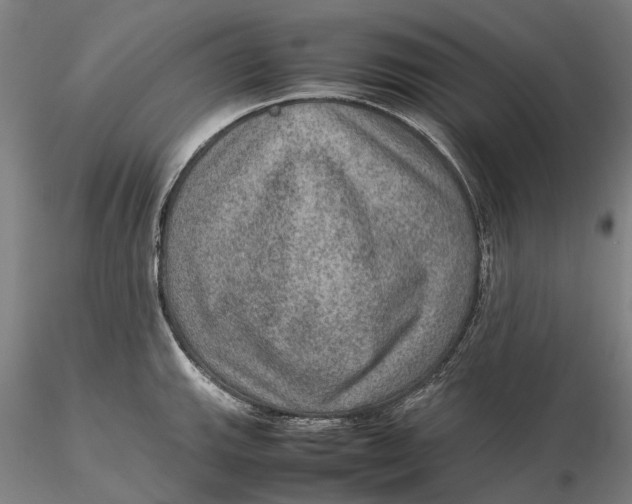 X0000115581143200912011433